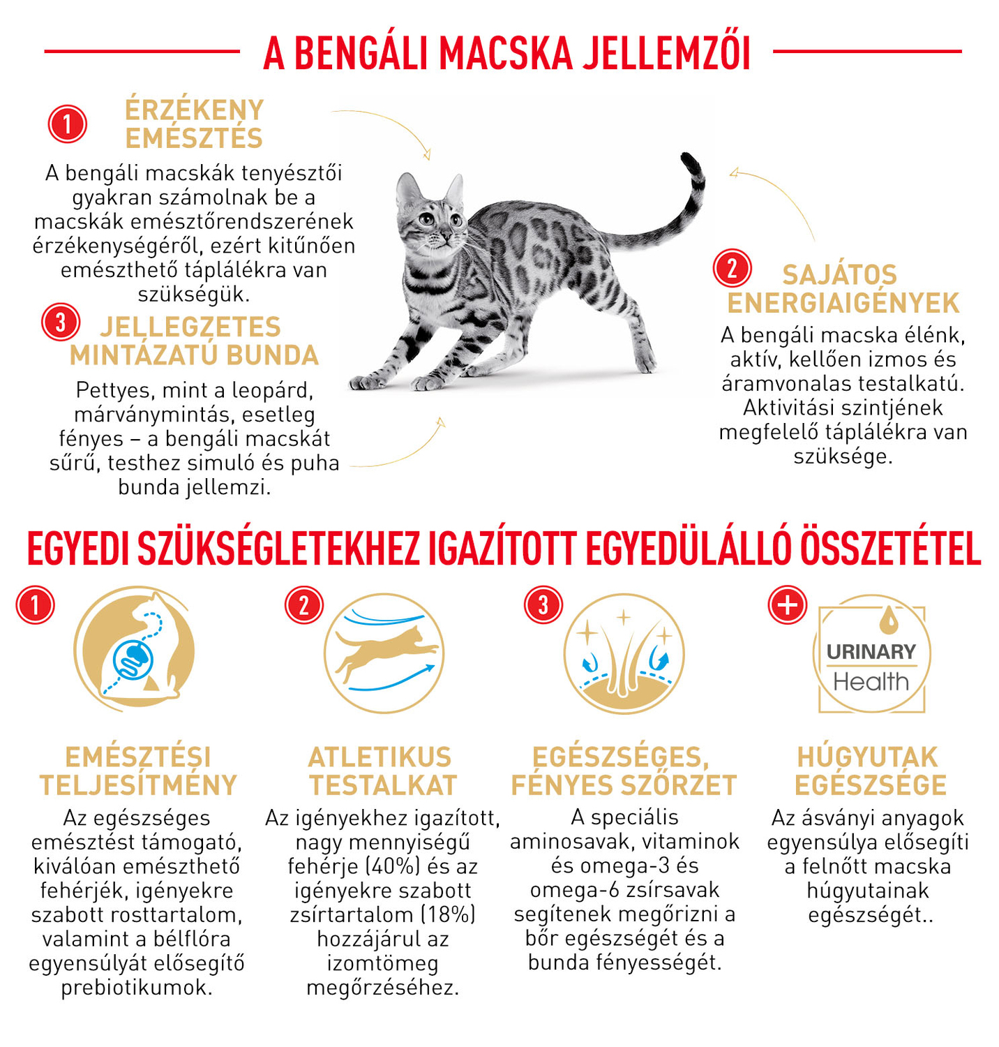 Royal Canin Bengal Adult - Bengáli felnőtt macska száraz táp