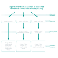 Vet Expert UrinoVet Dilution Cat kapszula #6