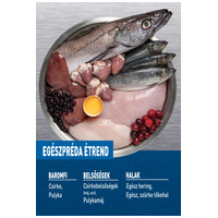 Orijen Original Cat macskaeledel szárnyashúsokból, tojásból és halból #3