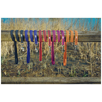 Julius-K9 Color & Gray póráz fogóval #5