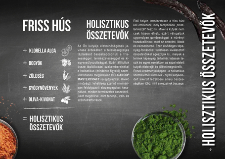 Belcando Mastercraft Fresh Salmon | 80% friss lazacból készült szuperprémium német kutyatáp