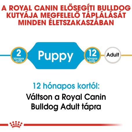 Royal Canin Bulldog Junior - Angol Bulldog kölyök kutya száraz táp