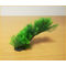 Plantă de acvariu formabilă cu frunze mici pe tulpină de cauciuc flexibil