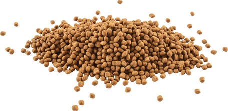 Tetra Goldfish (Energy) Sticks aranyhaleleség