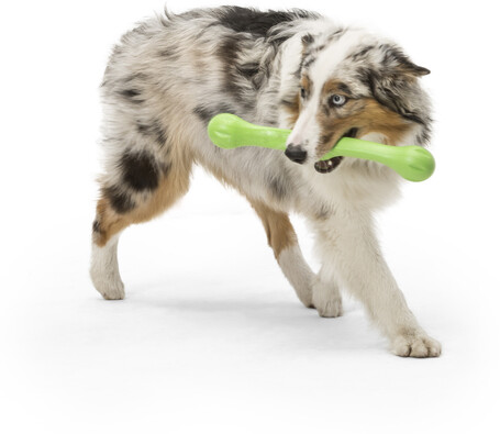 West Paw Zwig apport