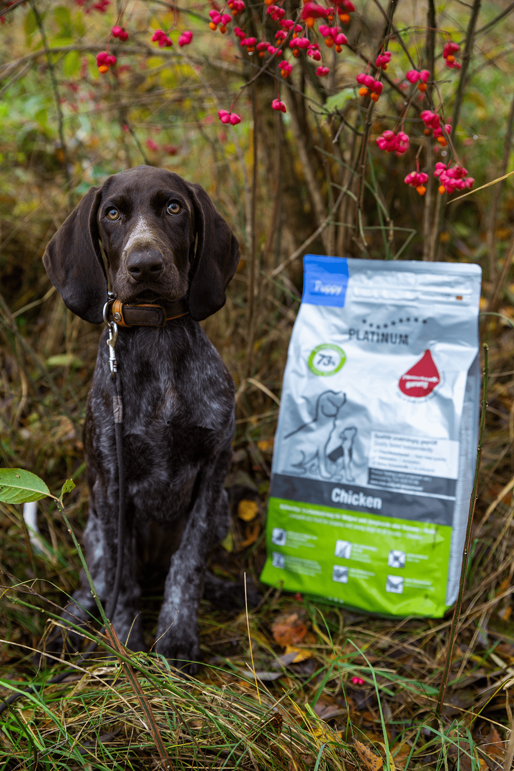 Platinum Puppy Chicken kölyök kutyatáp csirkével