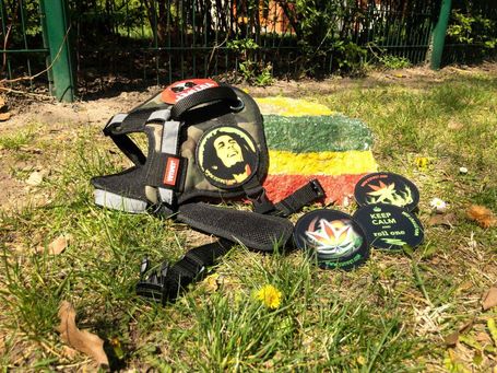 Yutipet RnD párnázott biztonsági kutyahám (Kék)