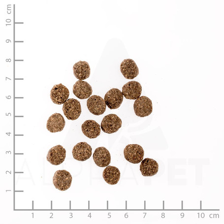 Belcando Finest Light | Túlsúlyos vagy idősebb kistestű kutyáknak való eledel