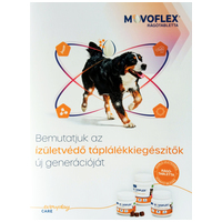 Movoflex ízületvédő rágótabletta #2