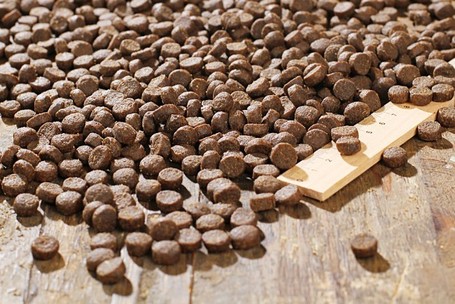 Bewi-Dog Mini Sensitive (báránnyal és kölessel) | Kutyatáp érzékeny gyomrú, kistestű kutyáknak