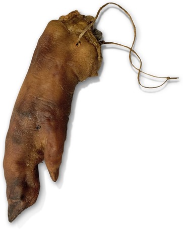 Holisnacks disznóláb kutyáknak