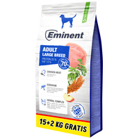 Eminent Adult Large Breed