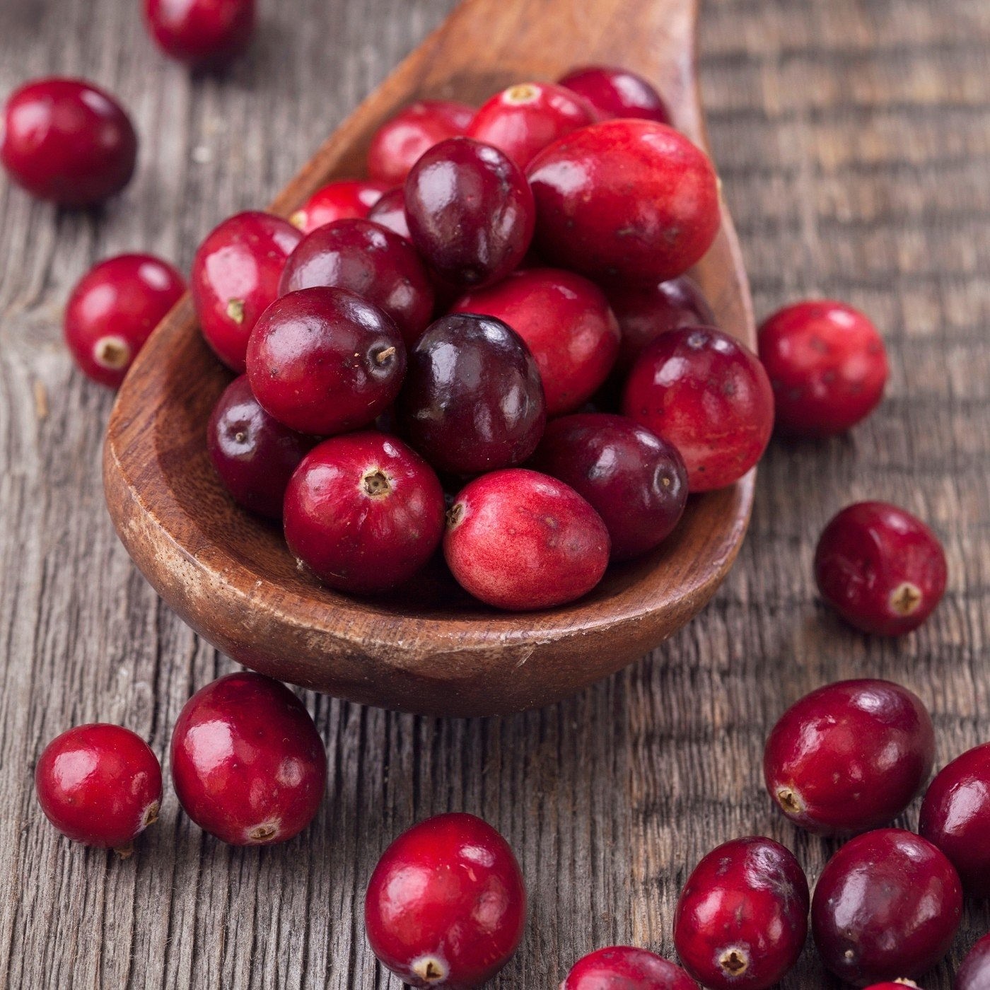 Food Studio piure de legume și fructe de pădure pentru câini - zoom