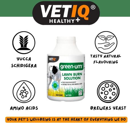 Vetiq Green-UM tabletta a zöld pázsitért