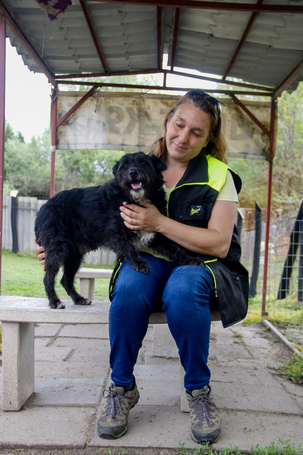 Gáspárka, 6 éves ivartalanított kan