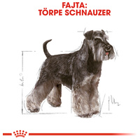 Royal Canin Miniature Schnauzer Adult - Törpe schnauzer felnőtt kutya száraz táp #2