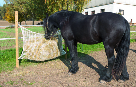 Kerbl négyszög fehér szénaháló