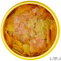 JBL ProNovo Color Flakes M színfokozó lemezes táp #3