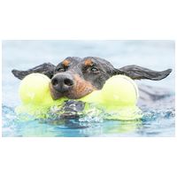 Kong Air Squeaker sípoló kutyacsont #3