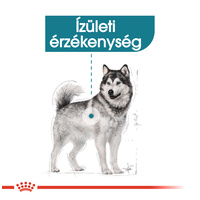 Royal Canin Maxi Joint Care - Száraz táp az izületek egészségéért, nagytestű felnőtt kutyák részére #2