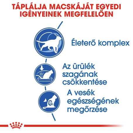 Royal Canin Indoor 7+ | Lakásban tartott idősödő macska száraz táp