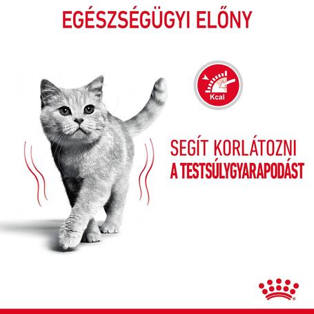 Royal Canin Light Weight Care - Szószos nedves táp felnőtt macskák részére az ideális testsúly eléréséért