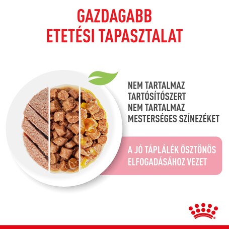 Royal Canin Kitten Gravy Multipack - Kölyök macska szószos, zselés, pépes multipack nedves táp