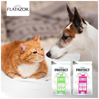 Pro-Nutrition Protect Cat Digest #6