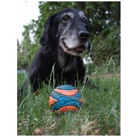 Chuckit! Ultra Squeaker Ball #6
