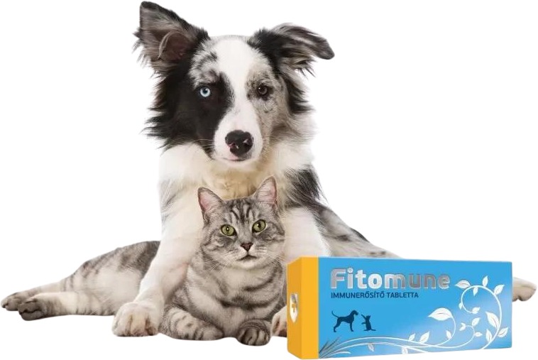 Fitomune tablete de stimulare a imunității pentru câini și pisici - zoom