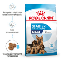Royal Canin Maxi Starter -  Száraz táp nagy testű vemhes szuka és kölyök kutya részére 2 hónapos korig