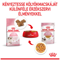 Royal Canin Kitten Jelly - Kölyök macska zselés nedves táp #4
