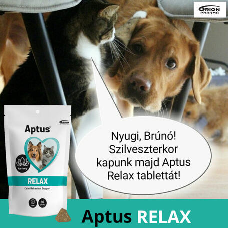 Aptus Relax gyorsan ható nyugtató rágótabletta