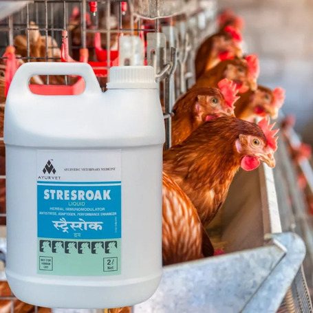 Stresroak stressz elleni, immunerősítő itatófolyadék