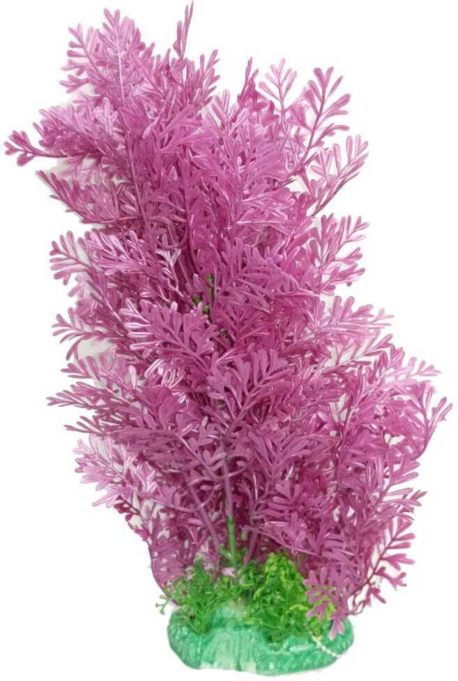 Plantă înaltă de acvariu cu frunze mov și plante mici verzi la bază