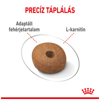 Royal Canin Medium Light Weight Care - Száraz táp hízásra hajlamos, közepes testű felnőtt kutyák részére #3