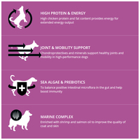 Profine Energy Chicken & Potatoes | Táp teljesítőképességű kutyáknak csirkével és burgonyával #5