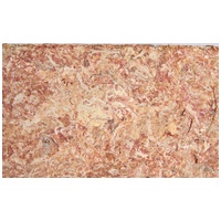 Trixie trópusi moha terráriumba #3