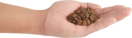 Orijen Six Fish Cat & Kitten