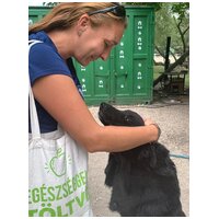 Ábel, 4 éves, 55 cm magas, kan #10