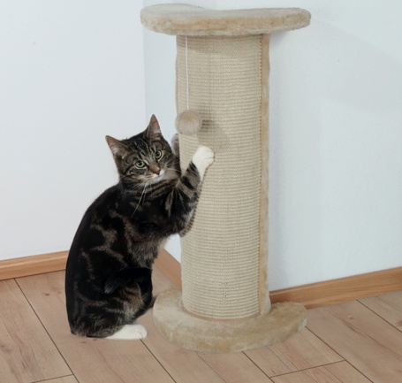 Trixie Lorca domború kaparófa plüss labdával sarok kiszögelésre