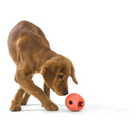 West Paw Rumbl - Jutalomfalattal tölthető labda #8