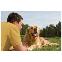 Belcando Adult Dinner #4