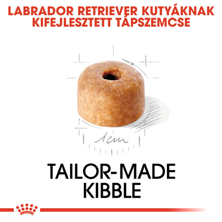 Royal Canin Labrador Junior - Labrador Retriever kölyök kutya száraz táp