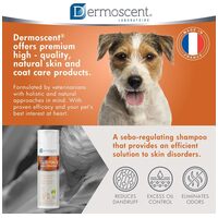 Dermoscent Essential 6 Sebo Shampoo kutyáknak és macskáknak #6