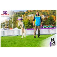 Puller fitnessz/ügyességfejlesztő karikák kutyáknak #9