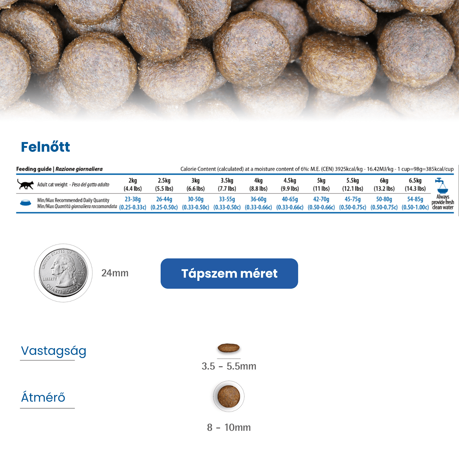 N&D Cat Grain Free Quinoa Skin & Coat Quail – Bőr- és szőrproblémákra