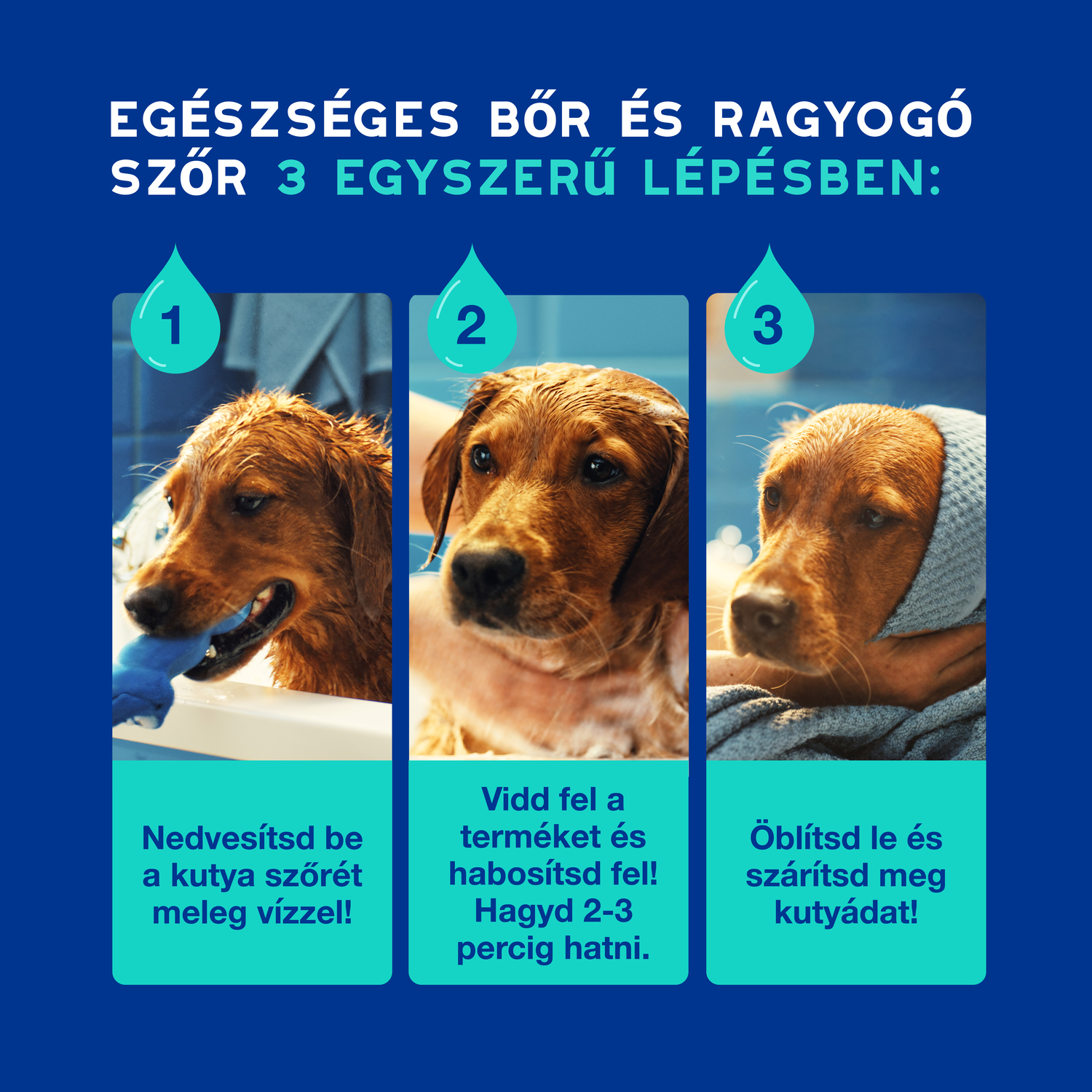 Douxo Spa șampon deodorant pentru câini - zoom