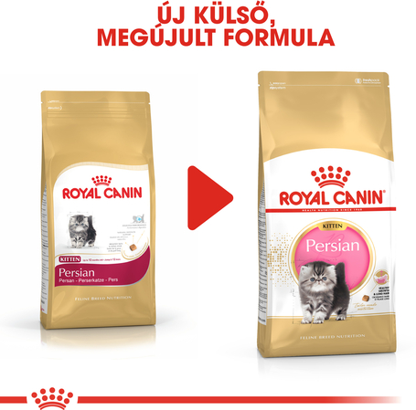 Royal Canin Persian Kitten - Perzsa kölyök macska száraz táp