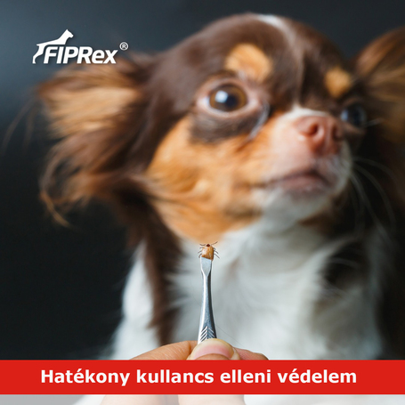 Fiprex Duo (~ Combo) rácsepegtető oldat kutyáknak
